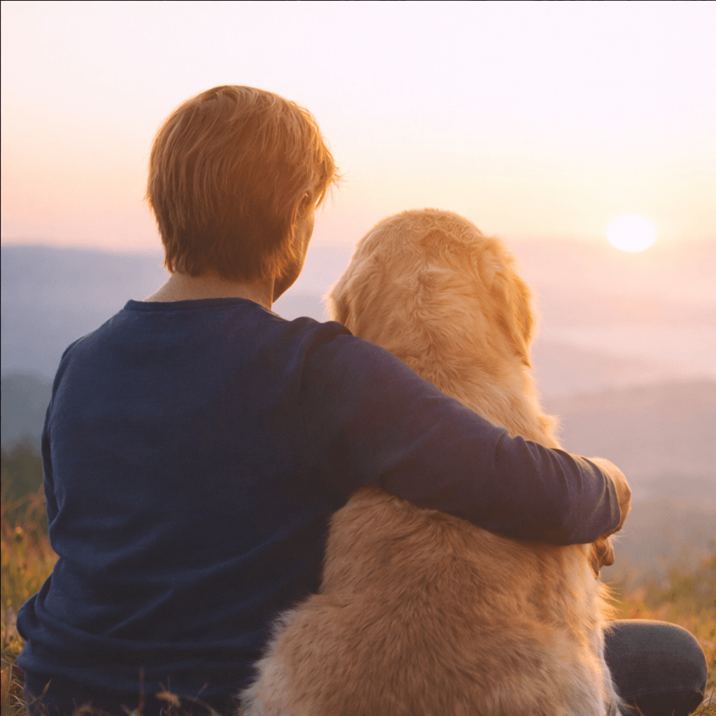Legacy Tails — share a tribute to your pet