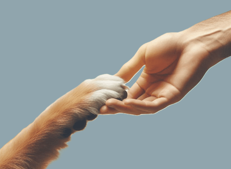 Paw-in-hand